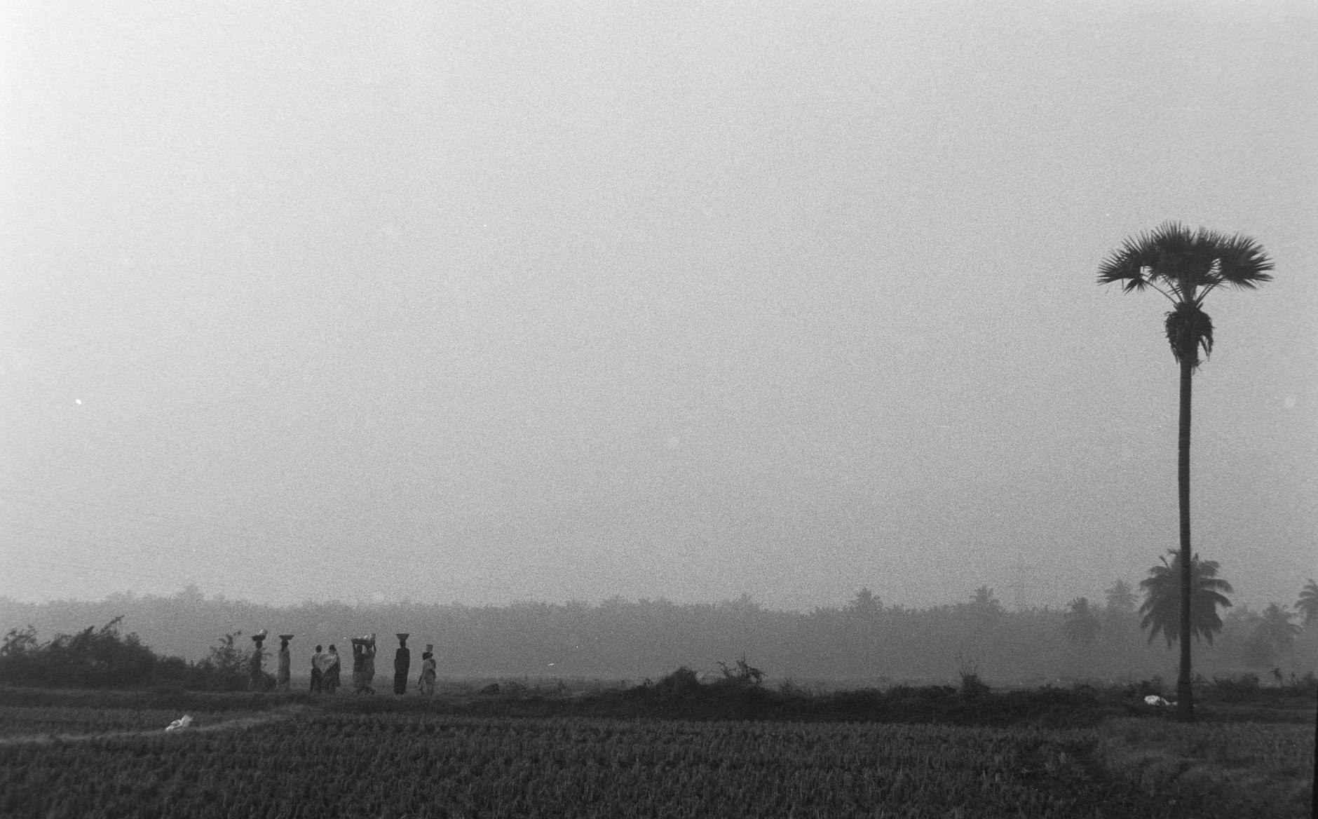 Building Your Client Base While Still Employed