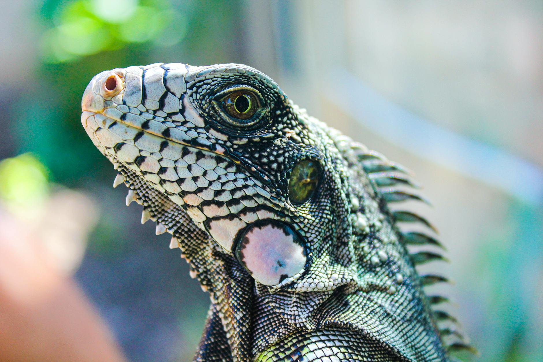 Regulatory Complexity and Compliance Requirements