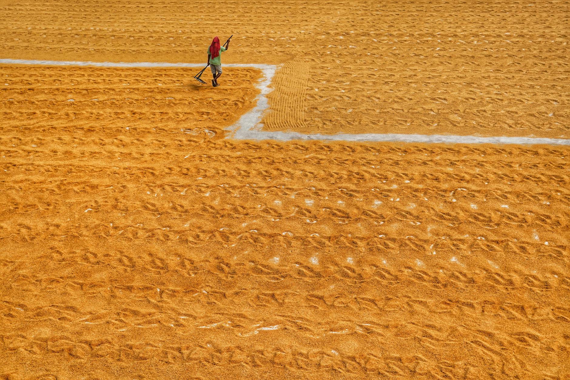 Security Mechanisms and Consumer Consent Architecture