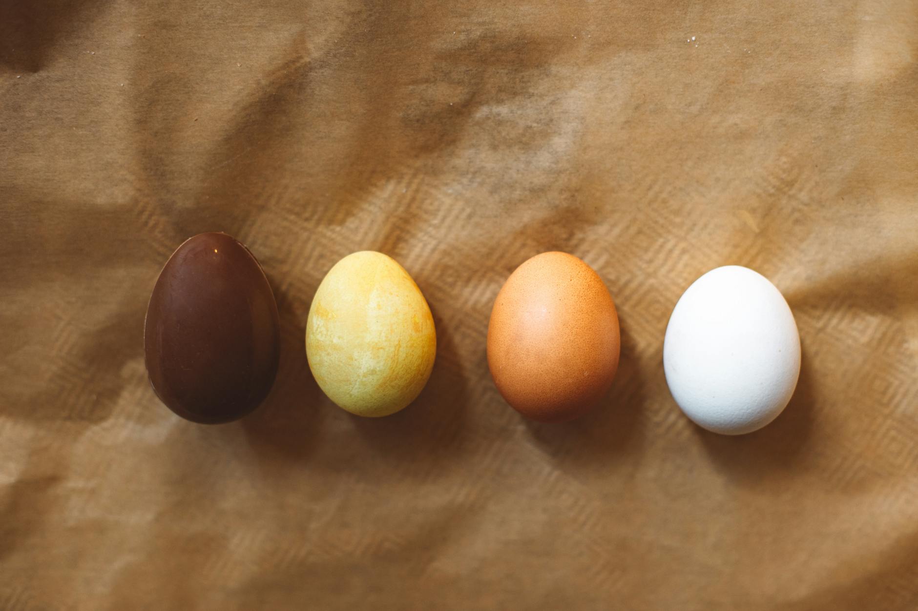 What Are the Different Business Models for Starting an Insurtech Company?