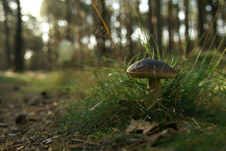 What Is an NFT - Featured image