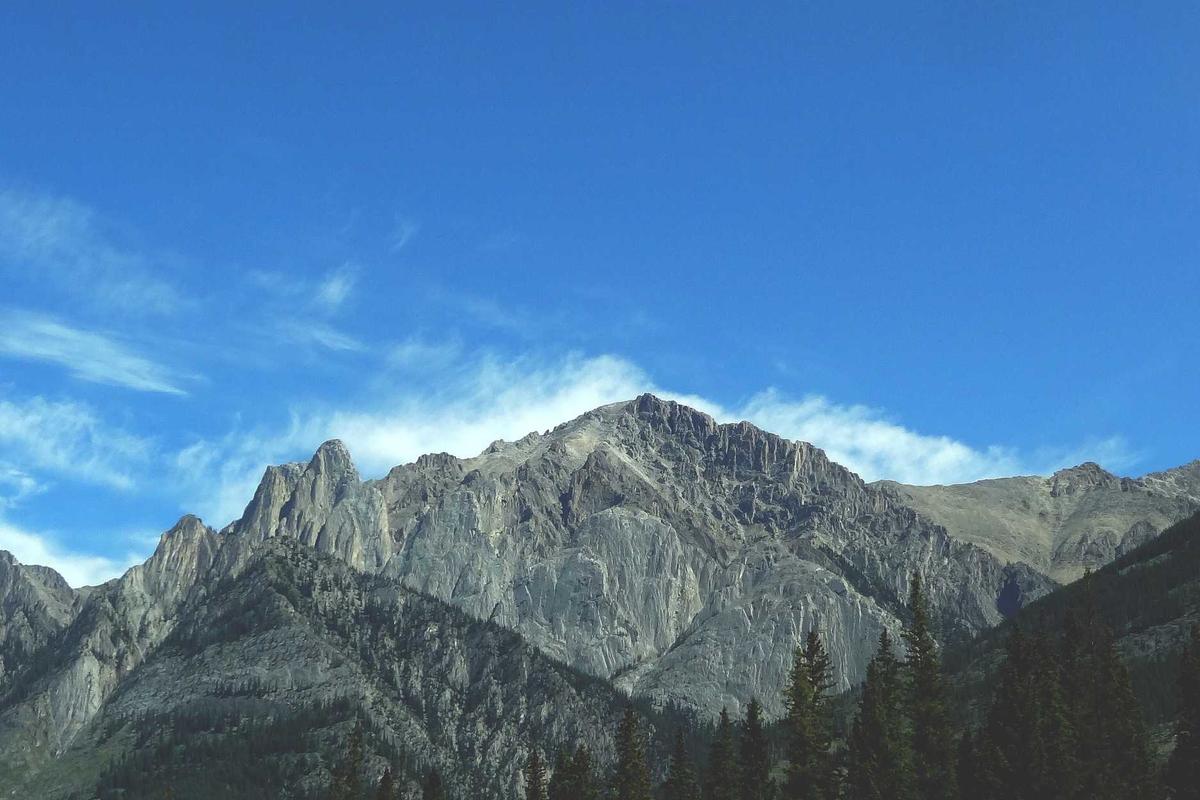 Can Vegetables Like Carrots Actually Improve Your Vision?