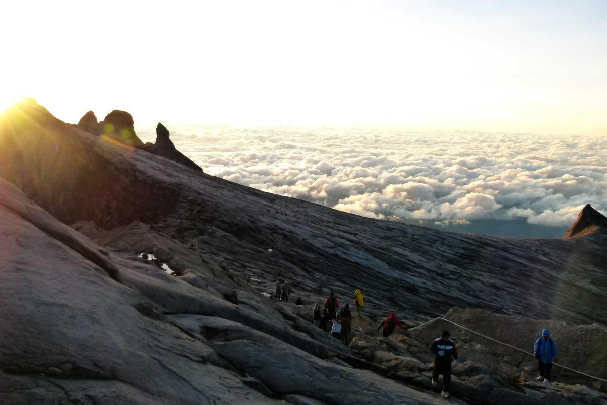 Competition and Differentiation in a Crowded Market