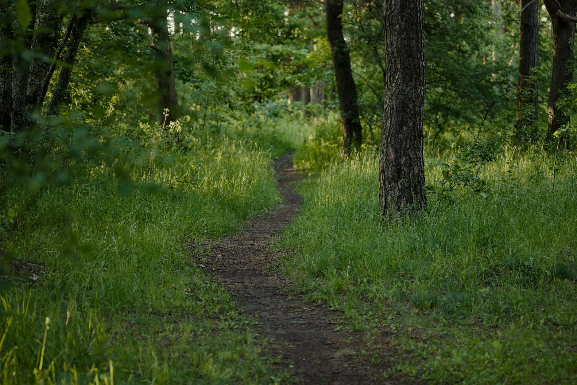 Documentation Requirements and the Audit Trail Problem
