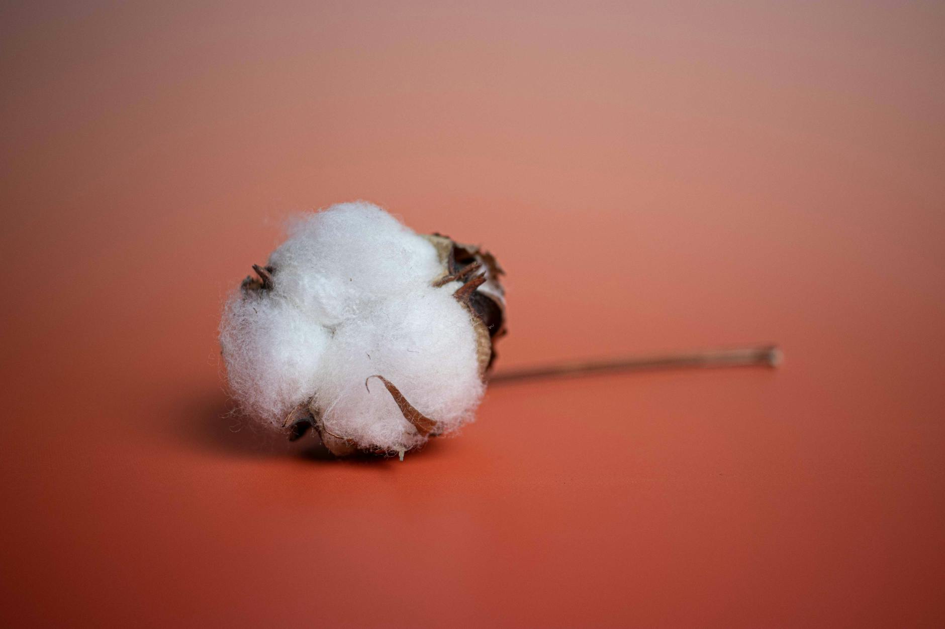 How Does Commodity Strength Influence Capital Available for IPOs?