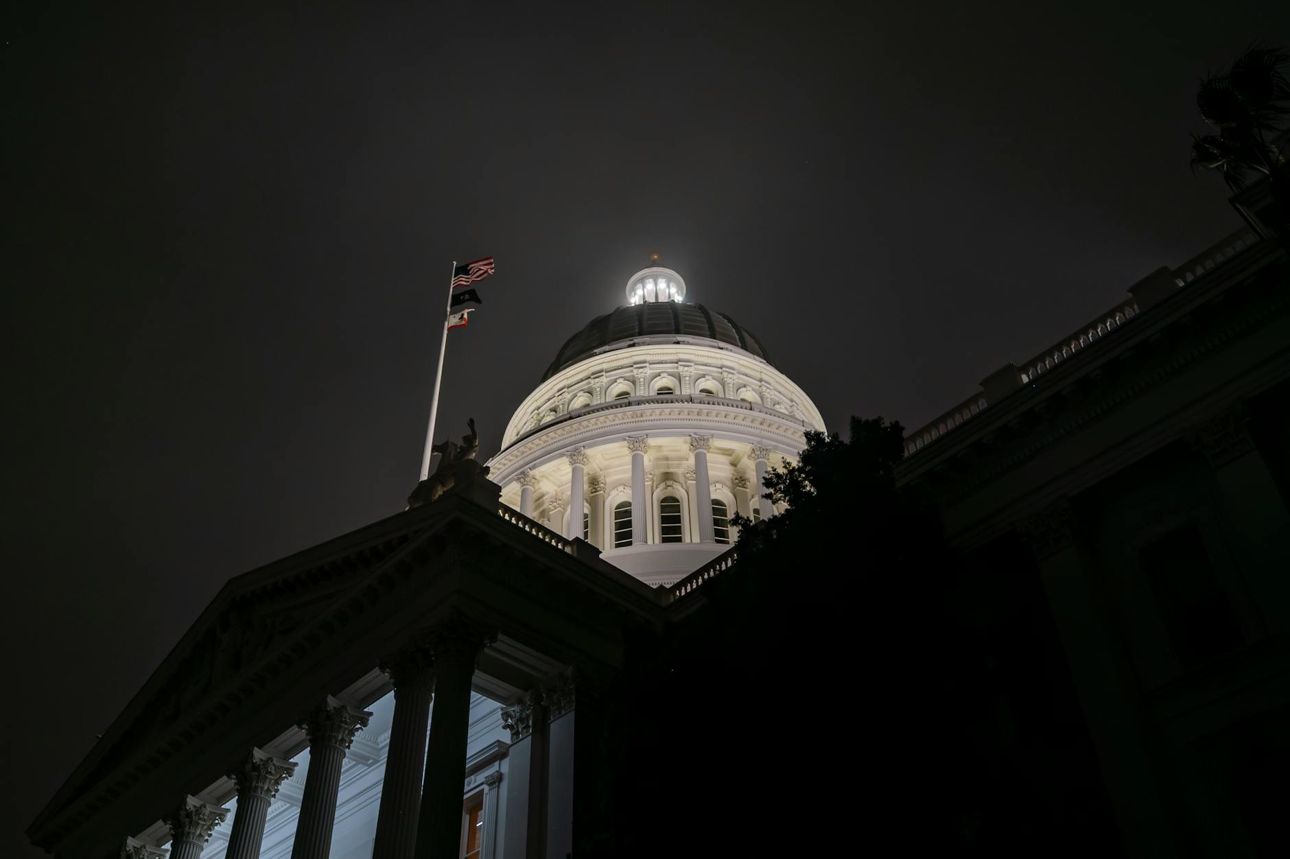 HOW DOES MICHIGAN'S CAPITAL DISTRIBUTION SYSTEM WORK FOR STARTUPS?