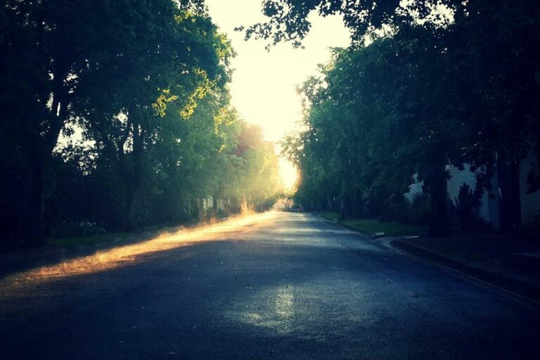 How Investment Capital Fuels Business Expansion and Innovation - Featured image