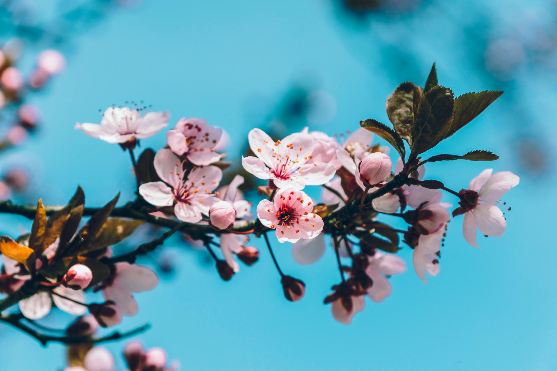 Real-World Data from Spring Training Testing