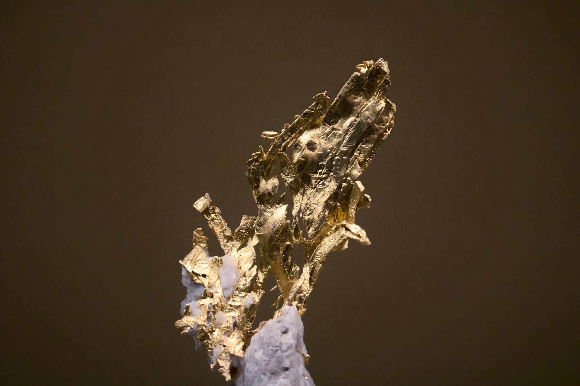 The Genetic and Biochemical Treasures in Deep-Sea Life
