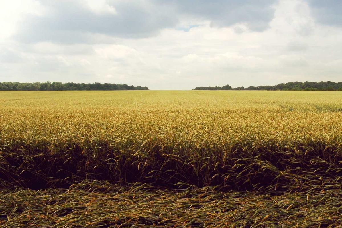 Validating Product Demand Before Scaling Operations