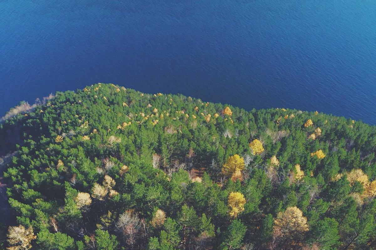 Why Established Organizations Are Abandoning Conventional Playbooks