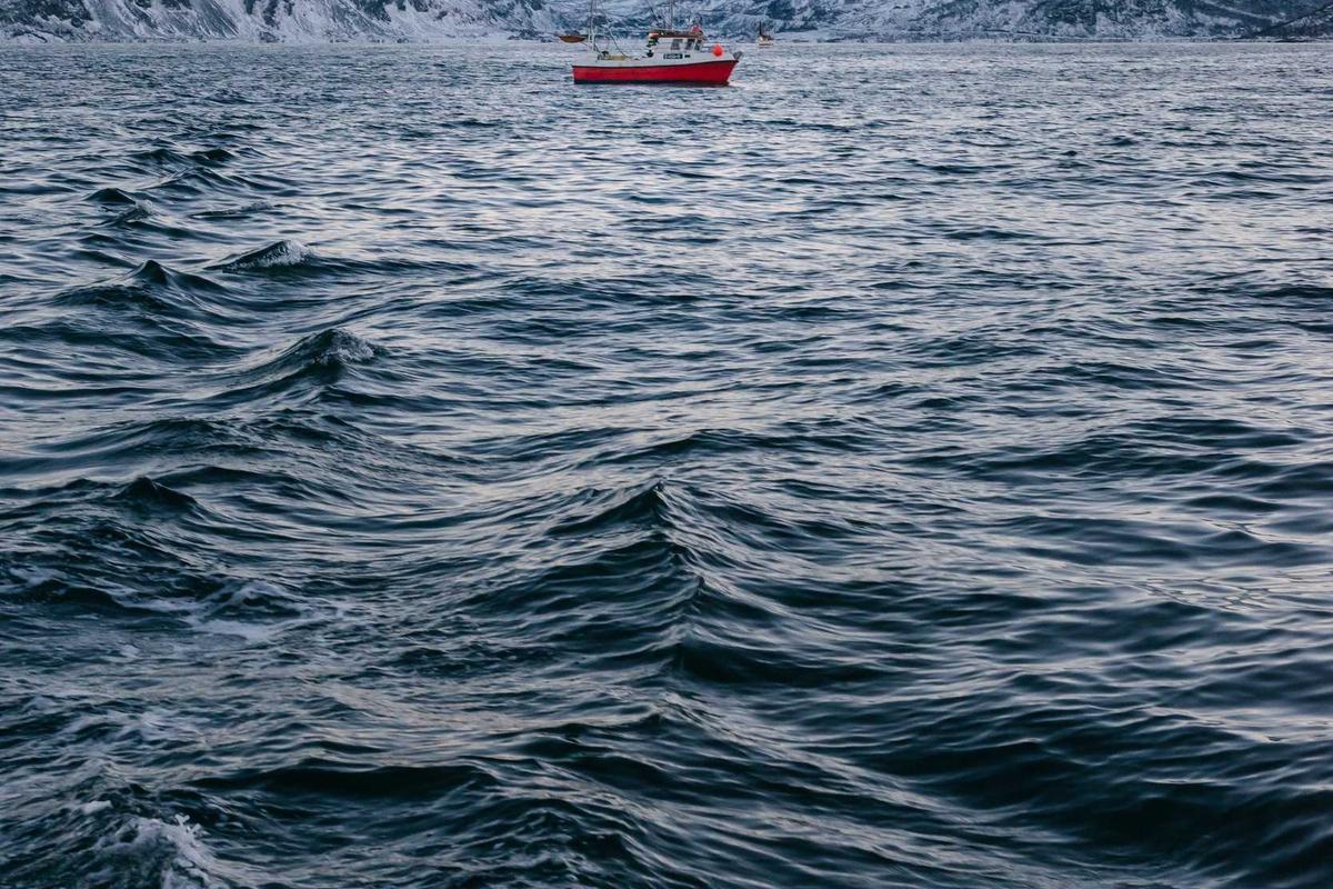 How Do Companies Navigate Regulatory Crackdowns and Travel Restrictions?