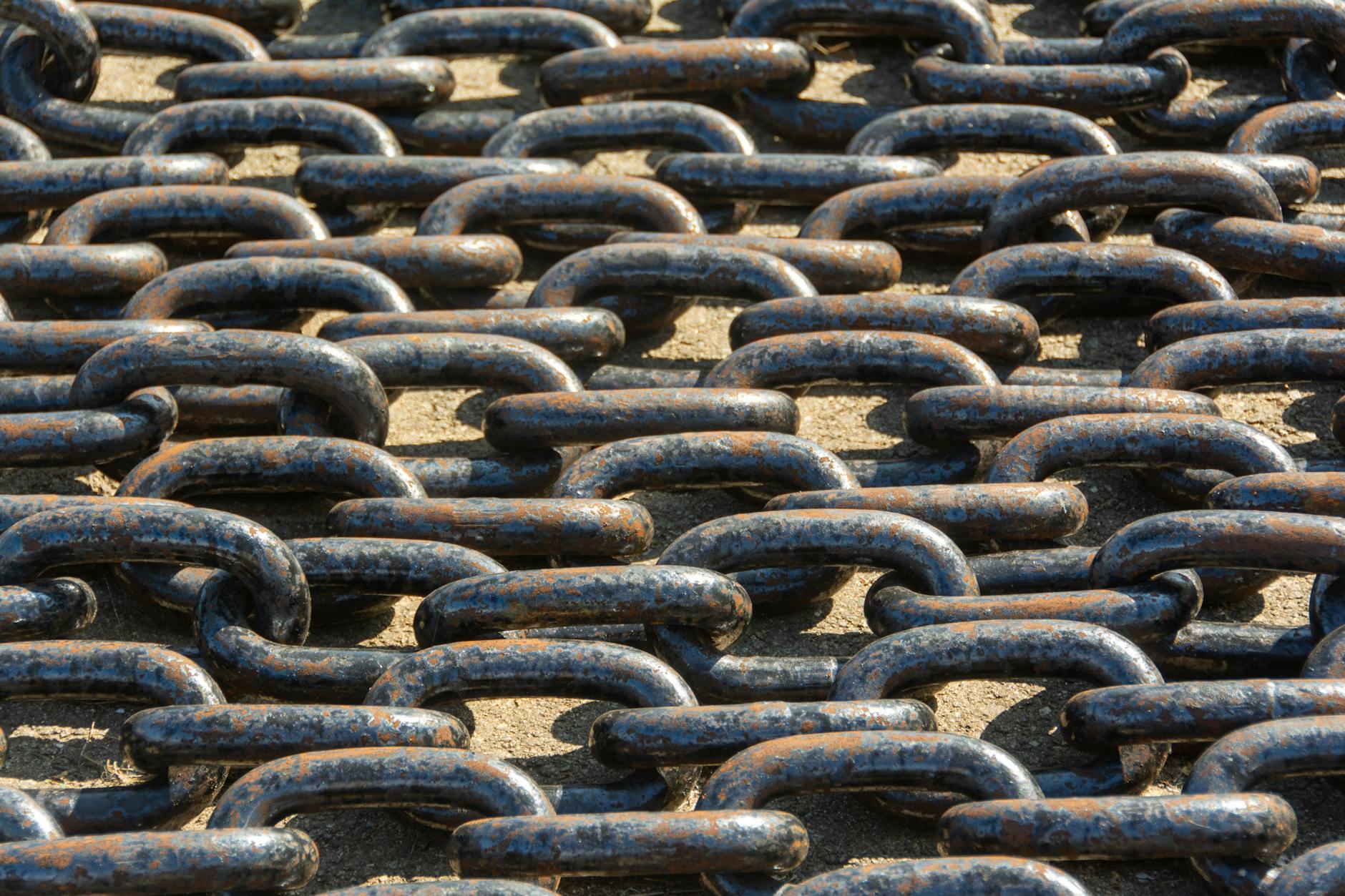 Supply Chain and Execution Challenges