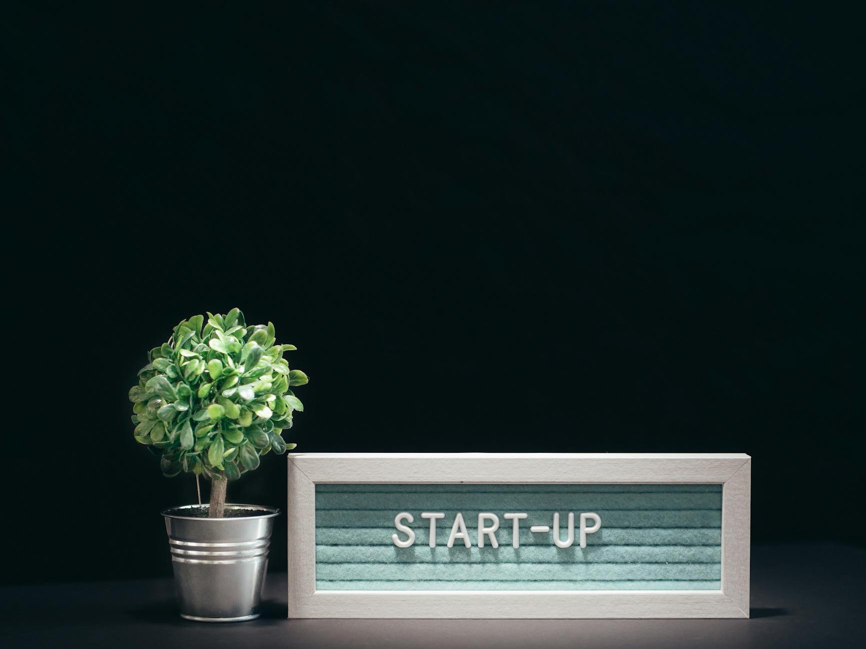 The Hidden Risks of Founder-Centric Company Cultures