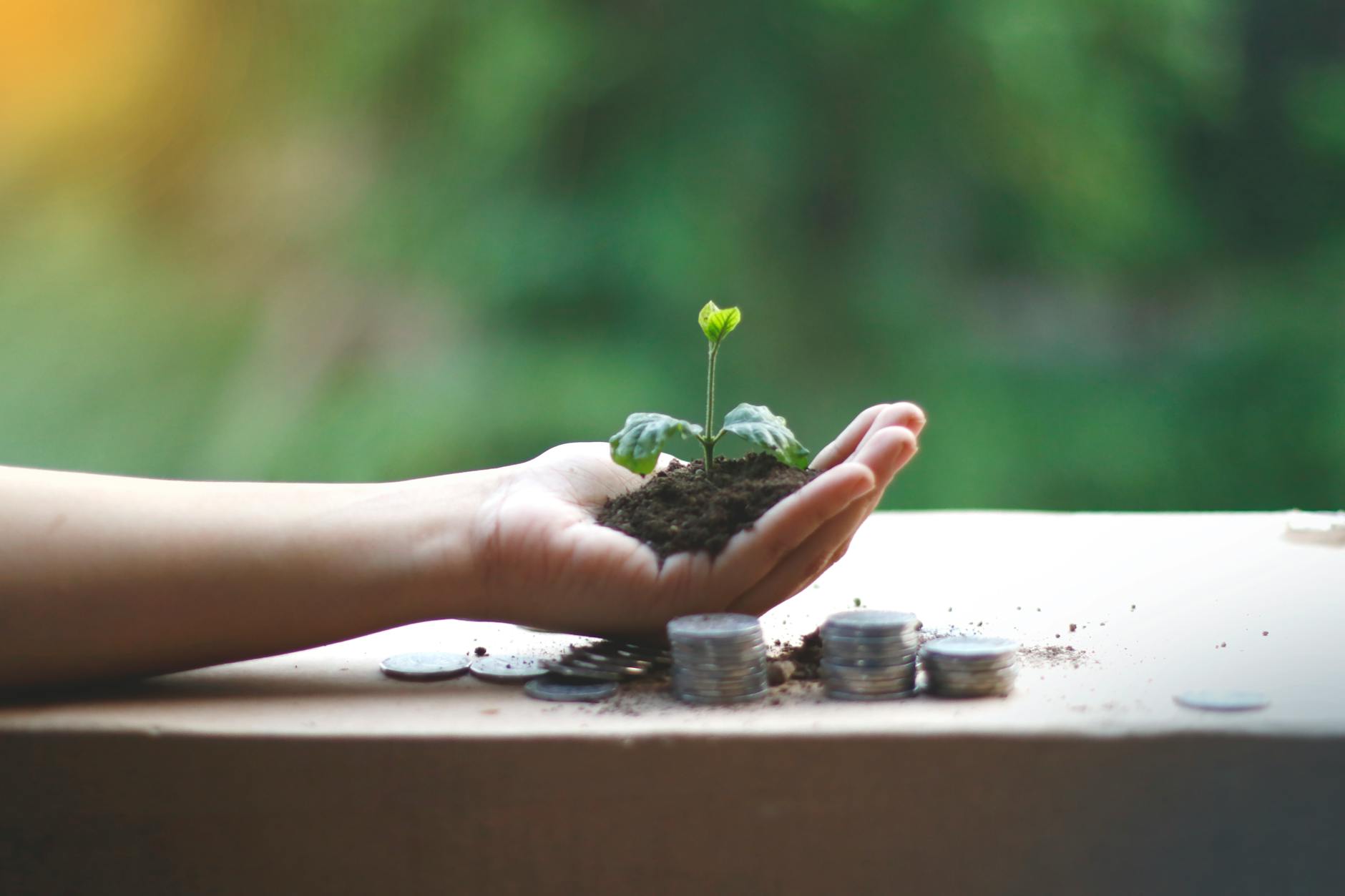 The Sustainability Question and Common Pitfalls