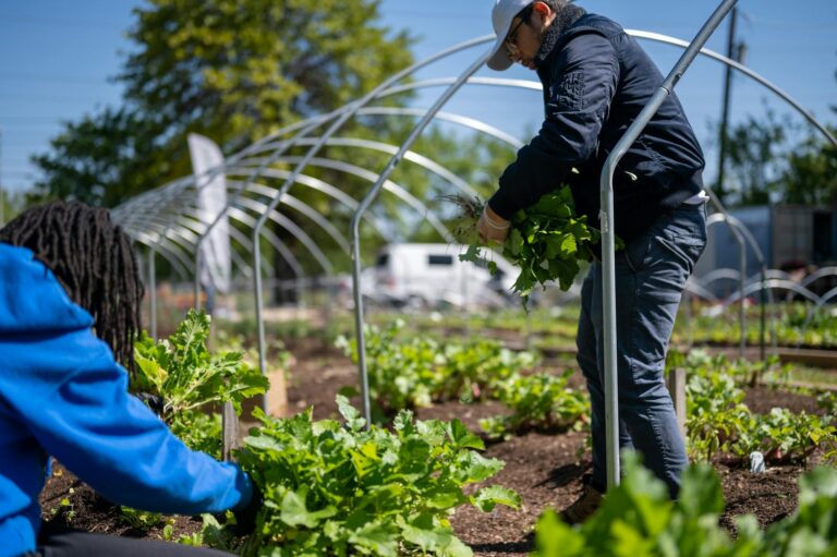 Urban Initiative Provides Fresh Capital For Early-Stage Ventures - Featured image