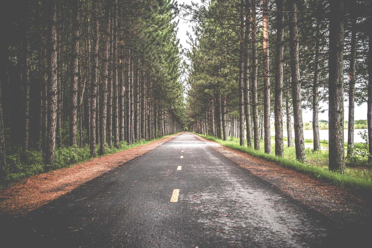 Why Management Quality, Not Compensation, Determines Who Stays